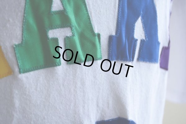 画像9: 1980s Hanes カレッジTシャツ　 表記L 