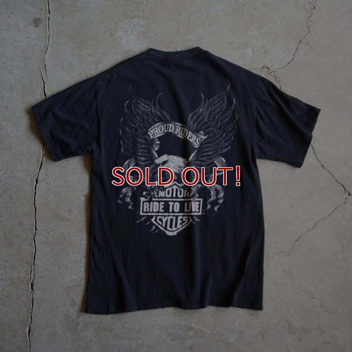 画像2: 1990s PROUD RIDERS EAGLE Tシャツ　 表記M  (2)