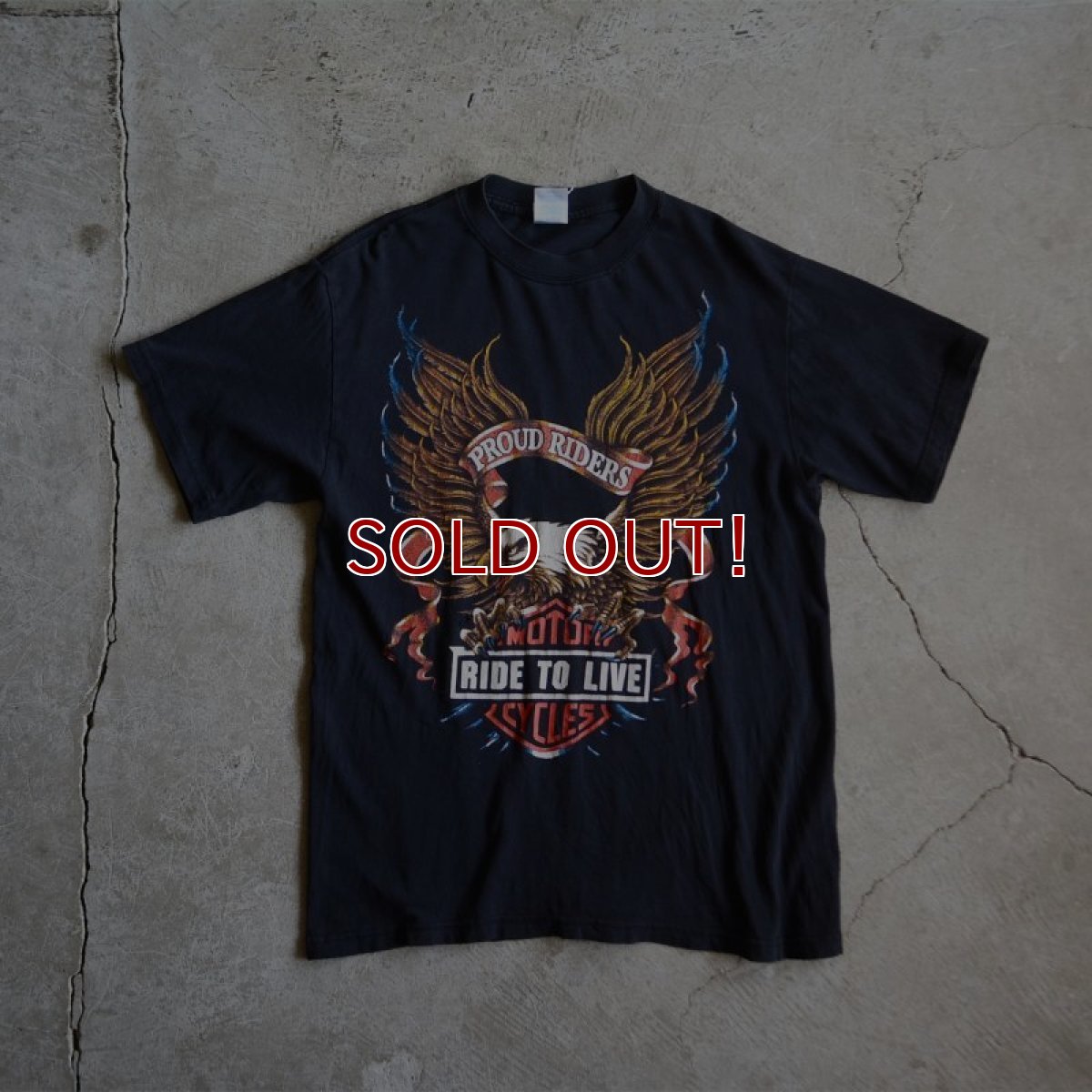 画像1: 1990s PROUD RIDERS EAGLE Tシャツ　 表記M  (1)