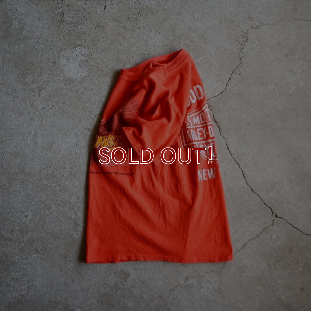 画像5: 1980s Harley-Davidson “Never in the shadows” Tシャツ　 表記S  (5)