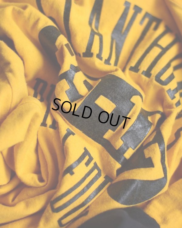 画像15: 1980s RUSSELL リバーシブルTシャツ　 表記M 