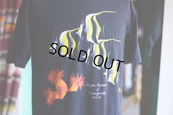 画像5: 1990s スクリップス海洋研究所Tシャツ  表記L