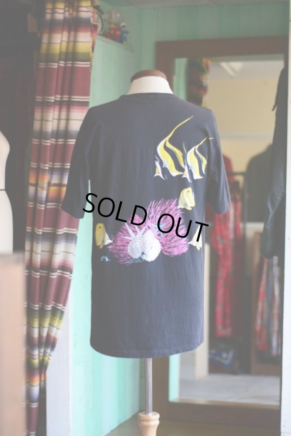 画像3: 1990s スクリップス海洋研究所Tシャツ  表記L