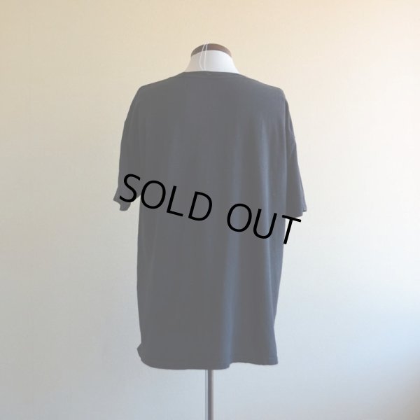 画像3: Albert Einstein Tシャツ　 実寸L〜 