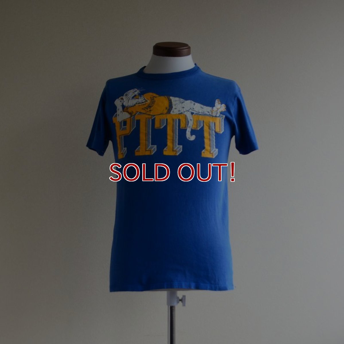 画像1: 1980s PITTSBURGH PANTHERS Tシャツ　 表記M  (1)