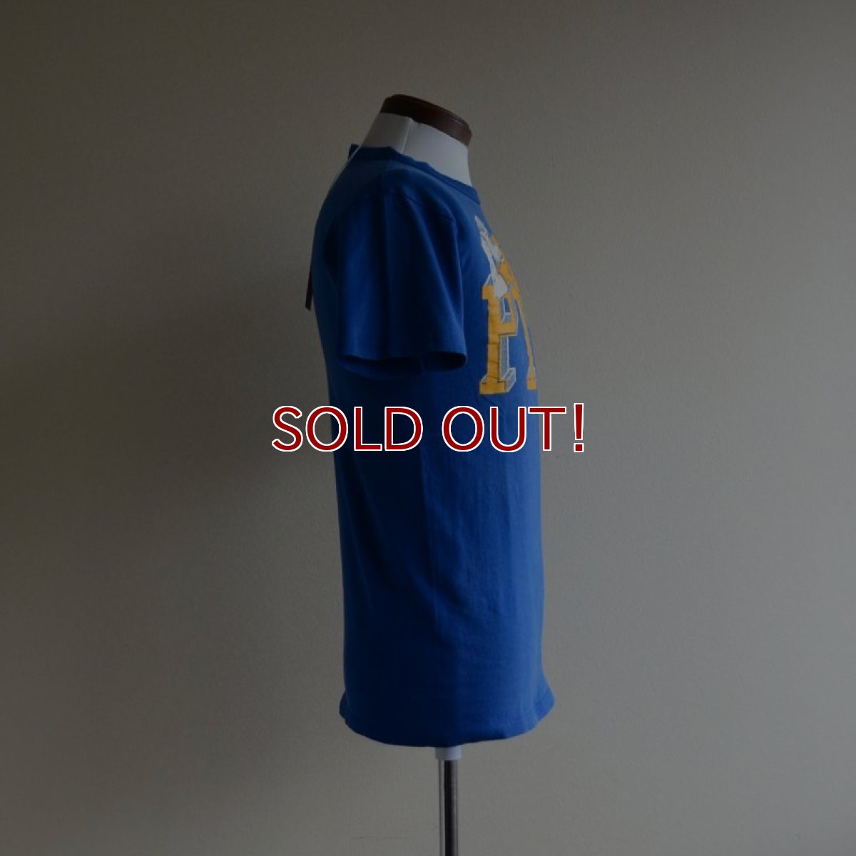 画像2: 1980s PITTSBURGH PANTHERS Tシャツ　 表記M  (2)