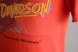 画像8: 1980s Harley-Davidson “Never in the shadows” Tシャツ　 表記S 