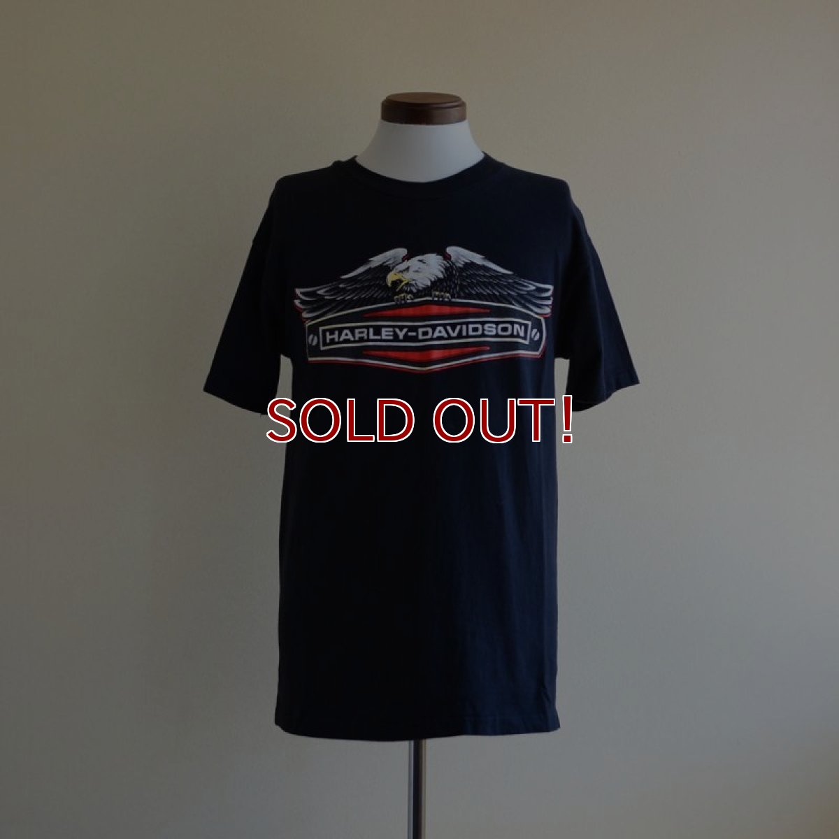 画像1: 1990s Harley-Davidson Tシャツ　 表記M  (1)