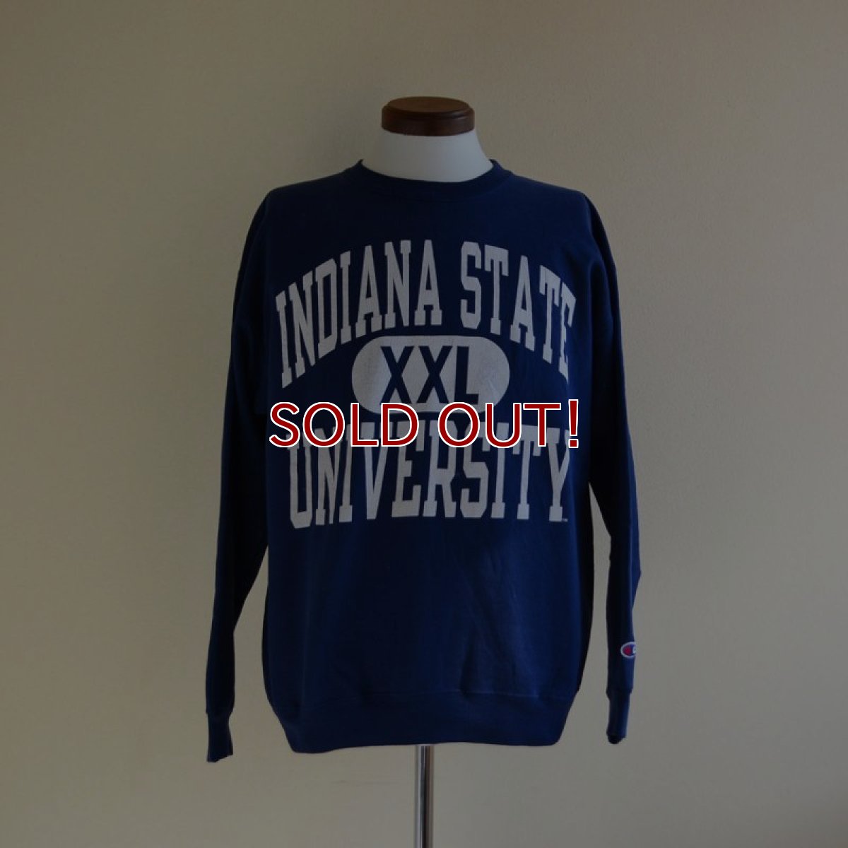 画像1: 1990s Champion カレッジスウェット　 INDIANA STATE UNIVERSITY　 表記M  (1)