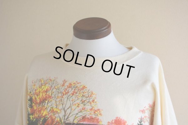 画像7: 紅葉スウェット  MADE IN USA  表記ONE SIZE