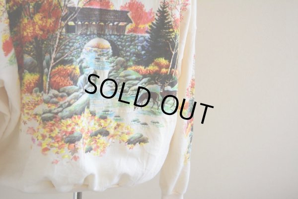 画像13: 紅葉スウェット  MADE IN USA  表記ONE SIZE