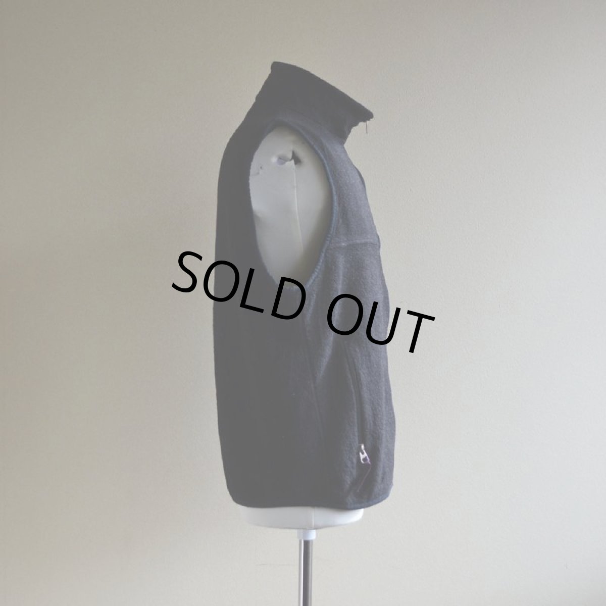 画像2: 1990s Patagonia フリースベスト　 表記M  (2)