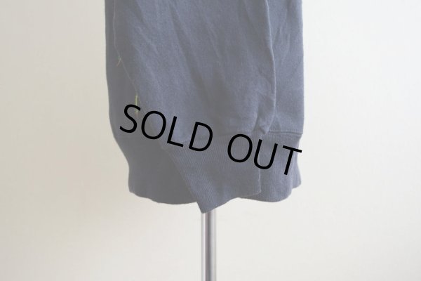 画像8: 1990s HARLEQUIN NATURE GRAPHICS イグアナスウェット　 表記L 