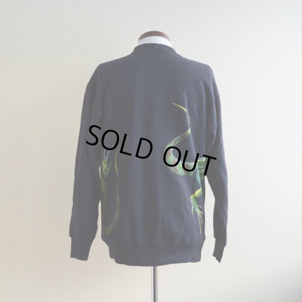 画像3: 1990s HARLEQUIN NATURE GRAPHICS イグアナスウェット　 表記L 