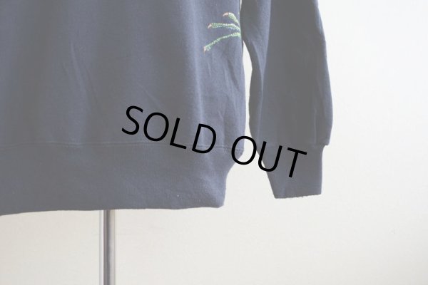 画像7: 1990s HARLEQUIN NATURE GRAPHICS イグアナスウェット　 表記L 