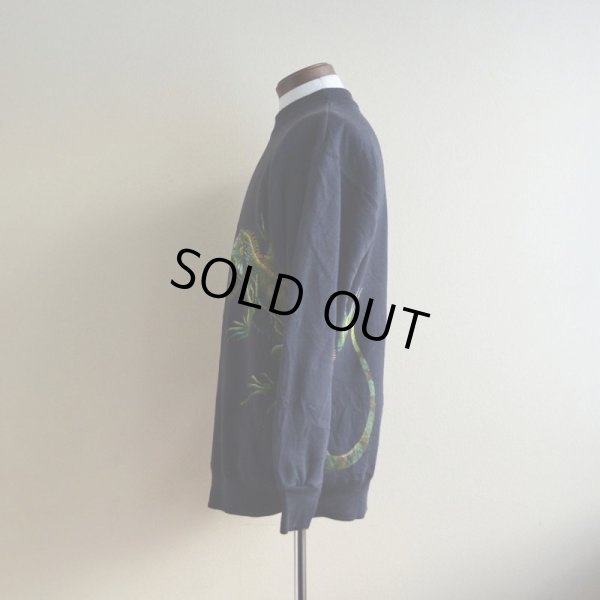 画像4: 1990s HARLEQUIN NATURE GRAPHICS イグアナスウェット　 表記L 