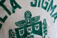 画像10: 1960s RUSSELL カレッジスウェット　 DELTA SIGMA PHI　 表記M 