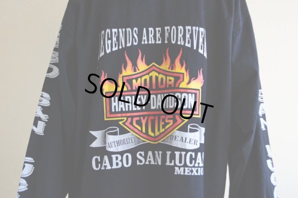 画像13: HARLEY-DAVIDSON コットンパーカー  表記40