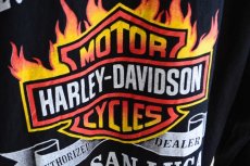 画像14: HARLEY-DAVIDSON コットンパーカー　 表記40  (14)