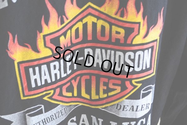 画像14: HARLEY-DAVIDSON コットンパーカー  表記40