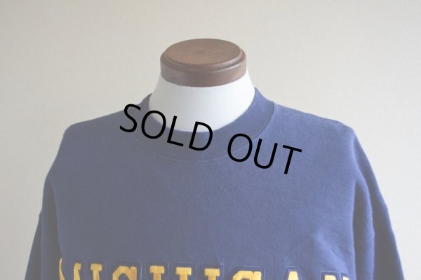 画像6: 1990s MICHIGAN DAD カレッジスウェット  表記L