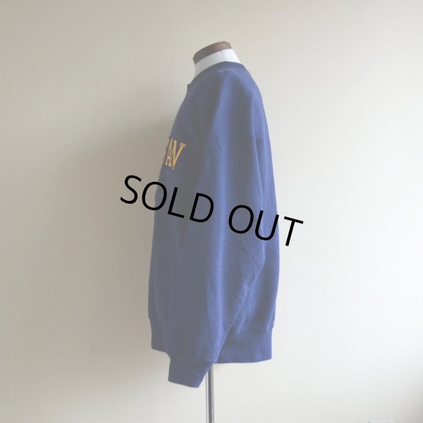 画像4: 1990s MICHIGAN DAD カレッジスウェット  表記L