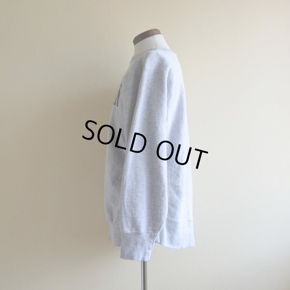 画像4: 1980s Champion リバースウィーブスウェット　 MICHIGAN染み込み　 表記L  (4)