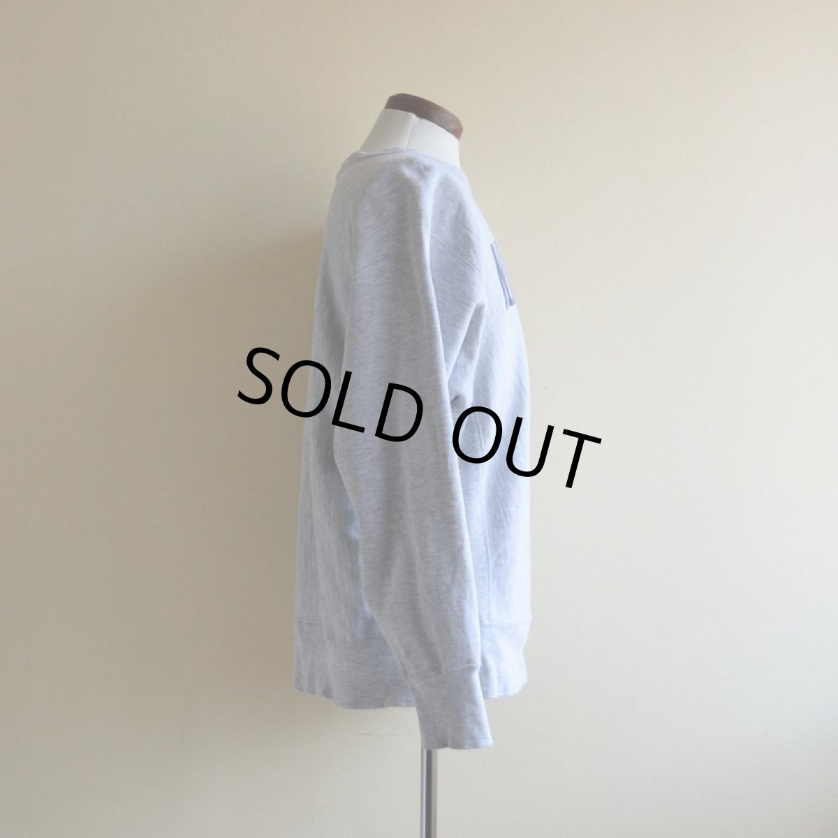 画像2: 1980s Champion リバースウィーブスウェット　 MICHIGAN染み込み　 表記L  (2)