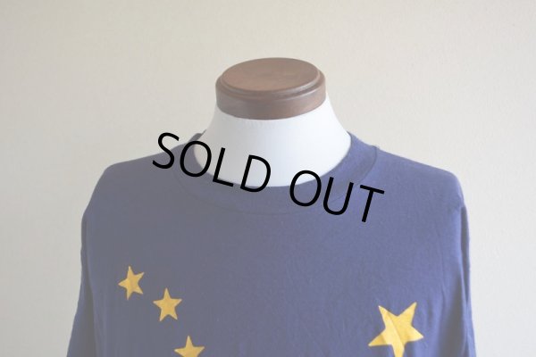 画像7: 1980s ALASKA 州旗プリントTシャツ  表記L