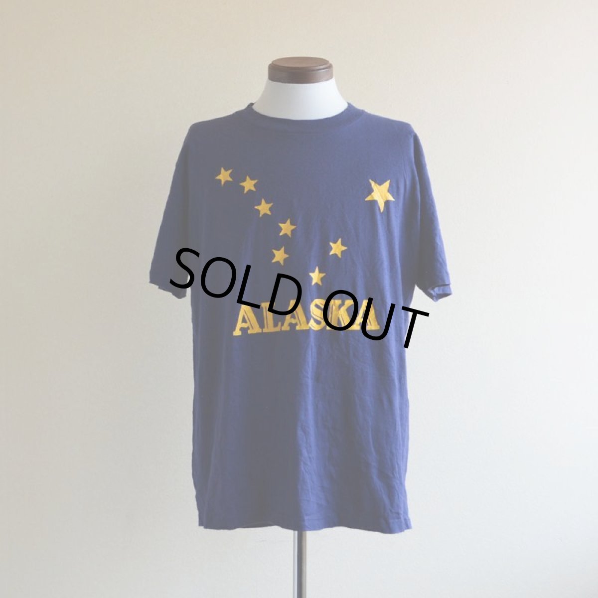 画像1: 1980s ALASKA 州旗プリントTシャツ　 表記L  (1)