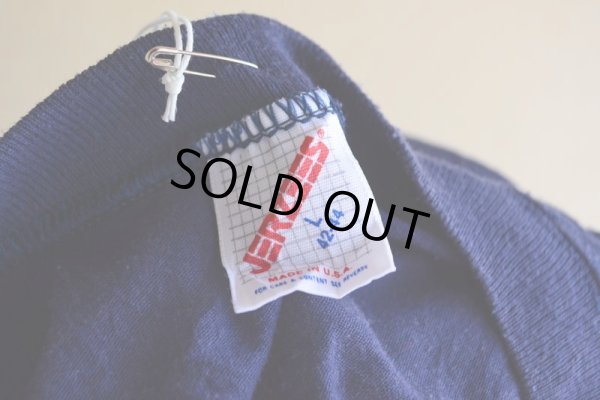 画像5: 1980s ALASKA 州旗プリントTシャツ  表記L