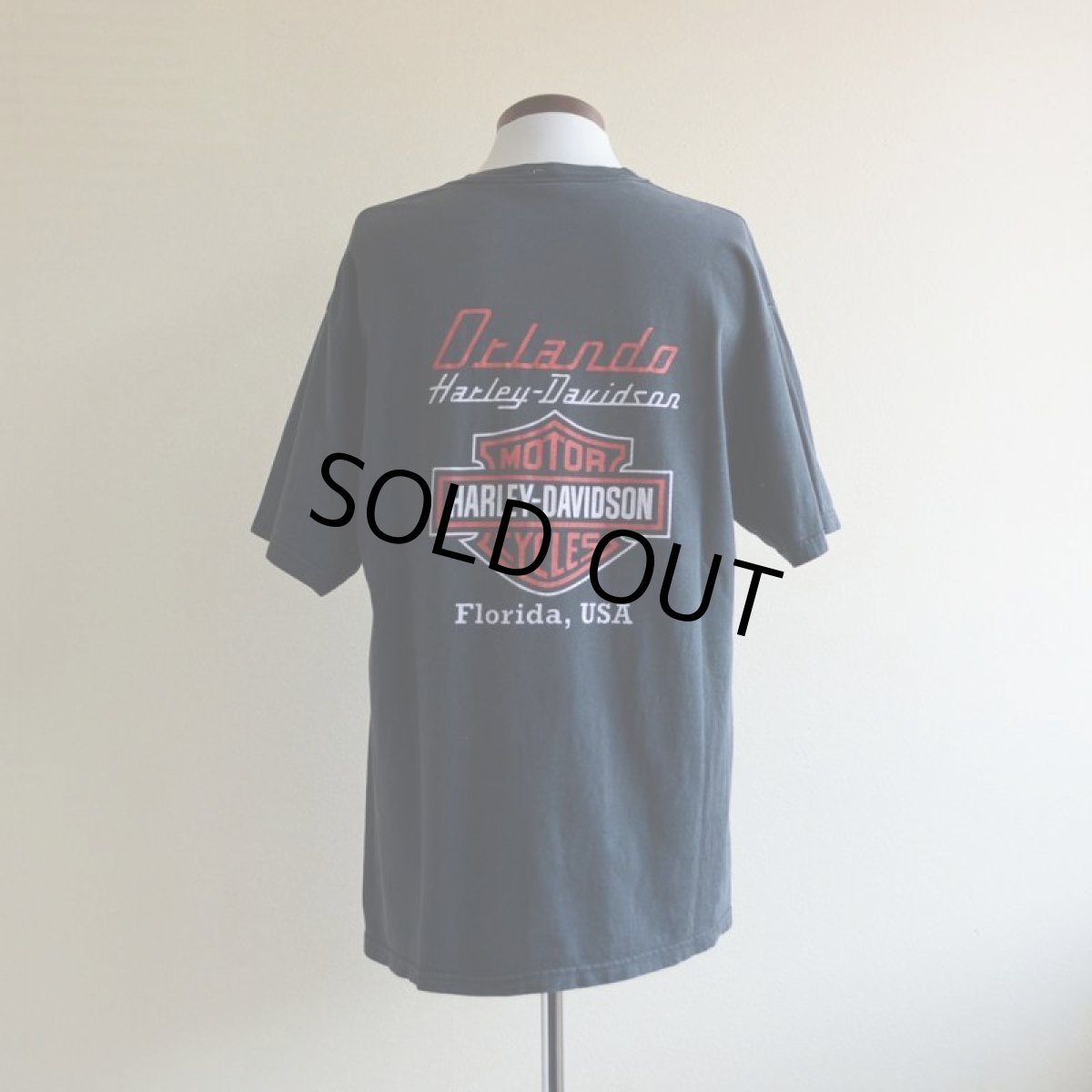 画像3: 2000s HARLEY-DAVIDSON DAYTONA BIKE WEEK スカルプリントTシャツ　 表記L  (3)