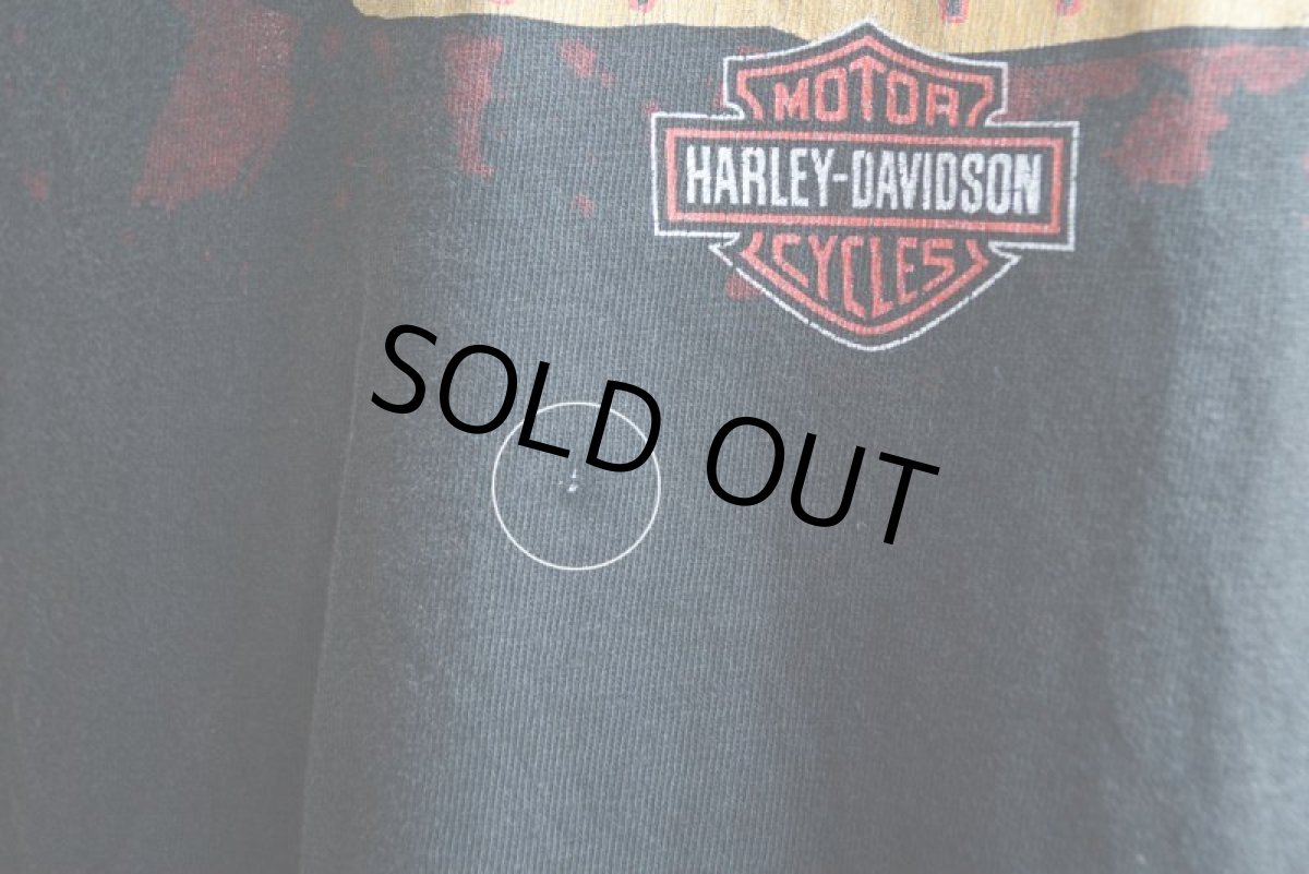 画像14: 2000s HARLEY-DAVIDSON DAYTONA BIKE WEEK スカルプリントTシャツ　 表記L  (14)