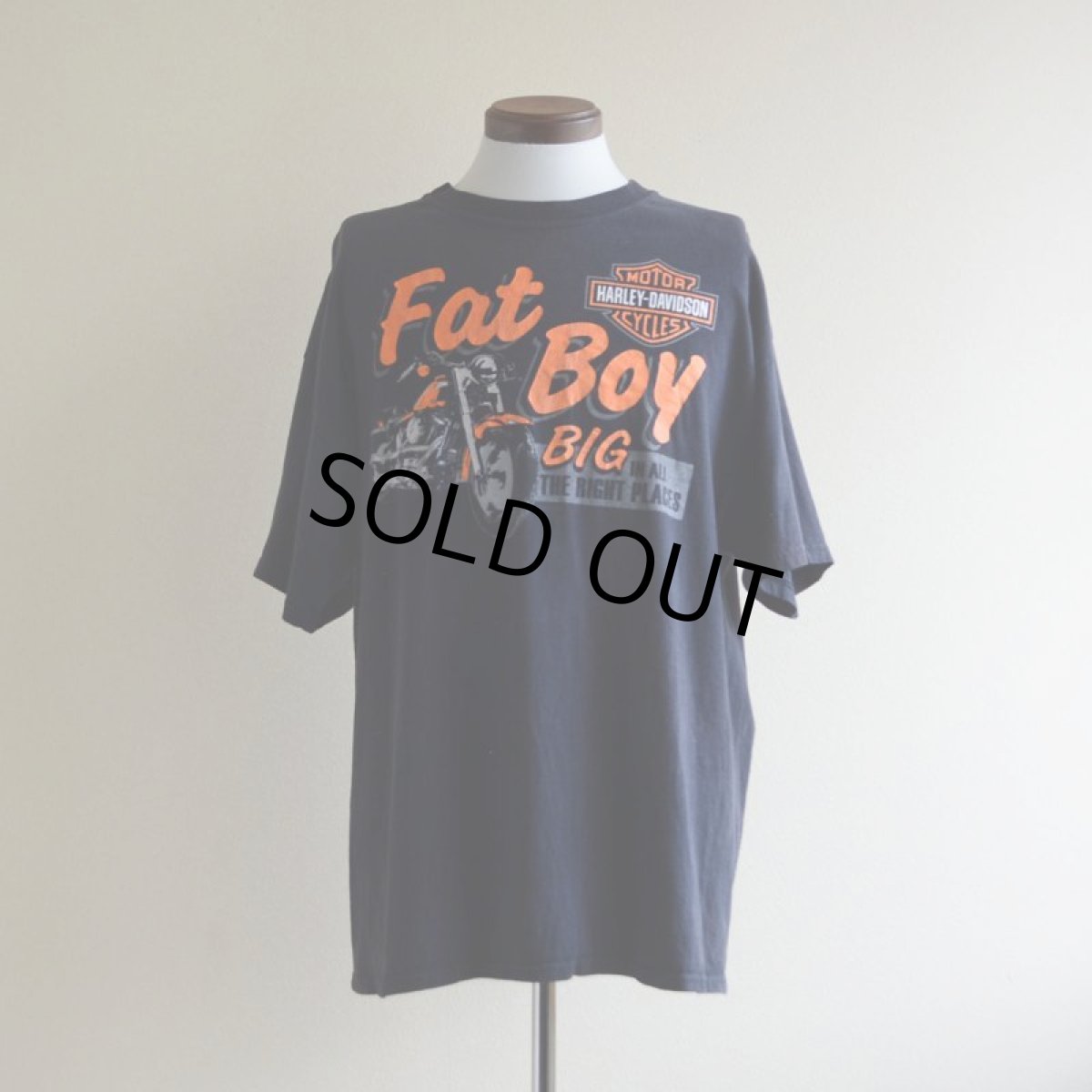 画像1: 2000s〜 HARLEY-DAVIDSON プリントTシャツ　 表記XL  (1)