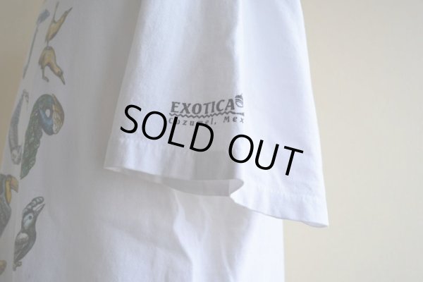 画像10: 1990s BIRD ALPHABET Tシャツ　 実寸L 