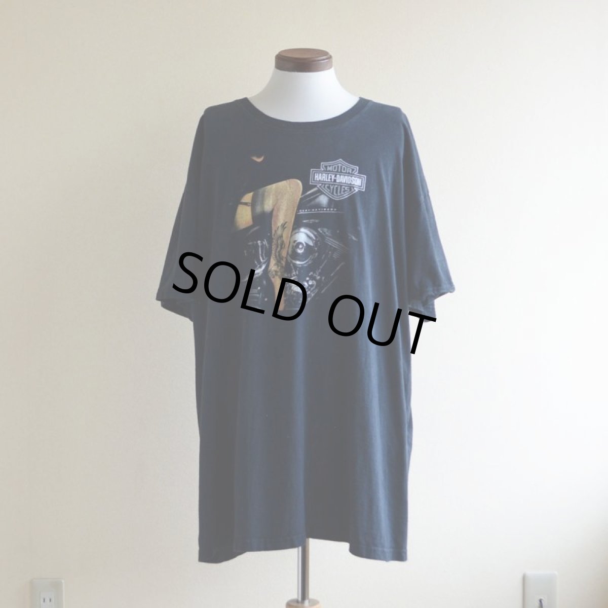 画像1: 2000s〜 HARLEY-DAVIDSON プリントTシャツ　 実寸2XL  (1)