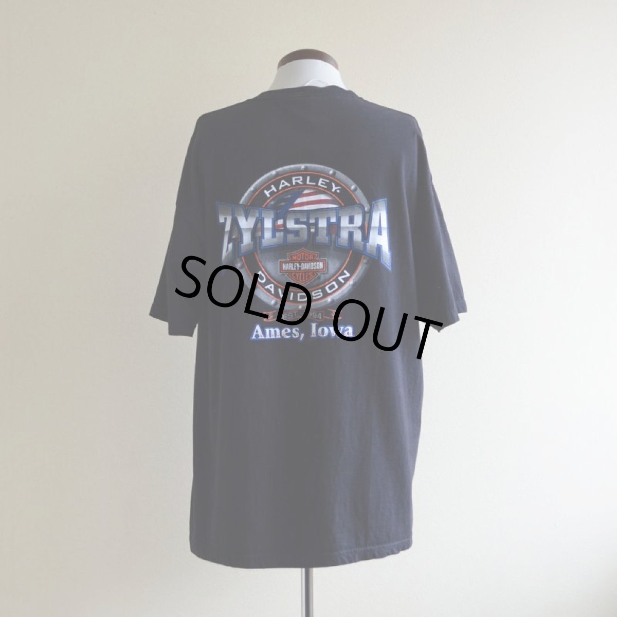 画像3: 2000s HARLEY-DAVIDSON プリントTシャツ　 表記XL  (3)