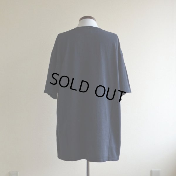 画像3: 1990-00s TABASCO HOTプリントTシャツ  表記XL