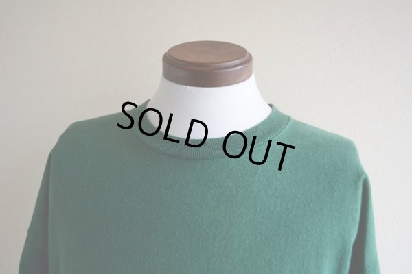 画像5: 1990s MINNESOTA 刺繍ロゴTシャツ  実寸L