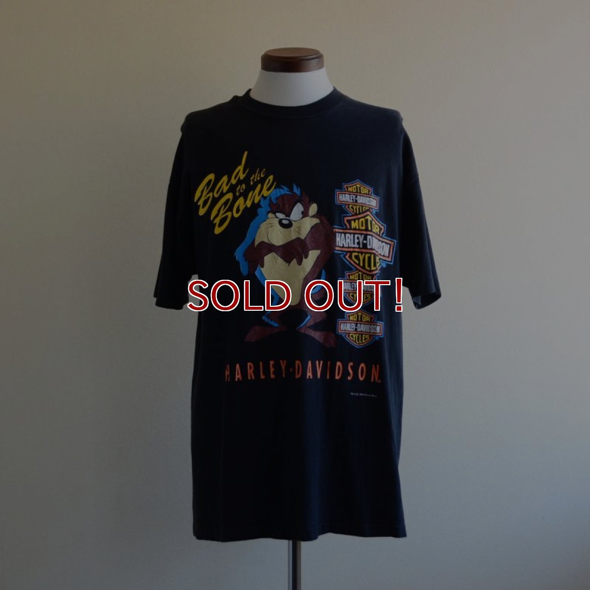 画像1: 1990s HARLEY-DAVIDSON プリントTシャツ　 ワーナーブラザーズ　 表記L  (1)