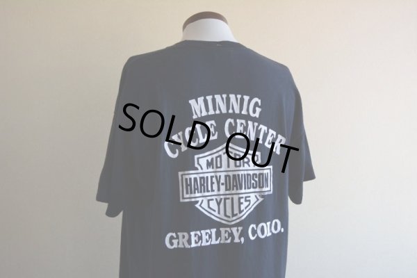 画像12: 1990s HARLEY-DAVIDSON プリントTシャツ  STURGIS  表記XL