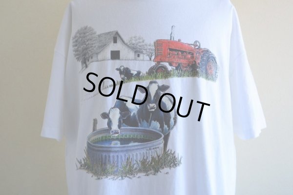 画像7: 1990s Air Waves 北海道酪農Tシャツ  MADE IN USA  表記XL