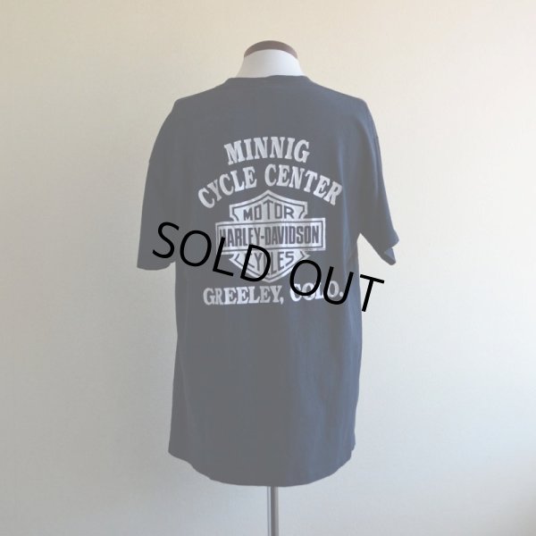 画像3: 1990s HARLEY-DAVIDSON プリントTシャツ  STURGIS  表記XL
