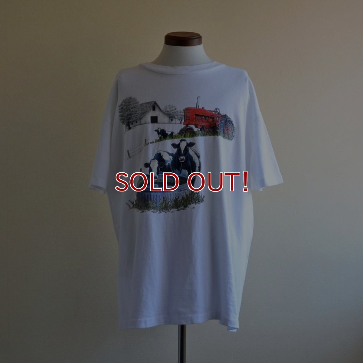画像1: 1990s Air Waves 北海道酪農Tシャツ　 MADE IN USA　 表記XL  (1)