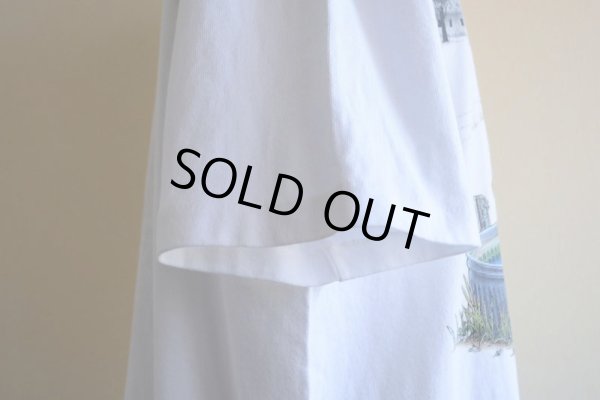 画像10: 1990s Air Waves 北海道酪農Tシャツ  MADE IN USA  表記XL