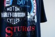画像9: 1990s HARLEY-DAVIDSON プリントTシャツ　 STURGIS　 表記XL 