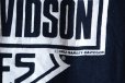 画像13: 1990s HARLEY-DAVIDSON プリントTシャツ　 STURGIS　 表記XL 