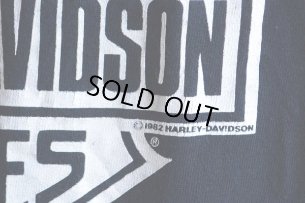 画像13: 1990s HARLEY-DAVIDSON プリントTシャツ  STURGIS  表記XL
