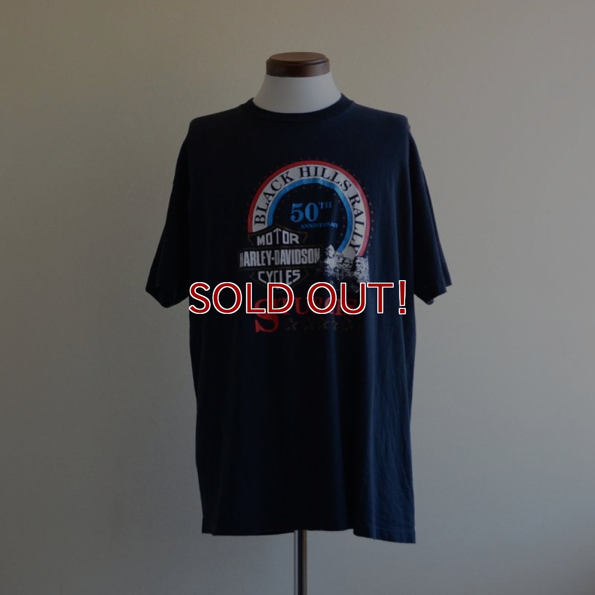 画像1: 1990s HARLEY-DAVIDSON プリントTシャツ　 STURGIS　 表記XL  (1)