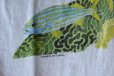 画像13: 1990s GUY HARVEY ポケットTシャツ　 MADE IN USA　 表記XL 